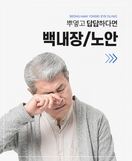 백내장/노안 